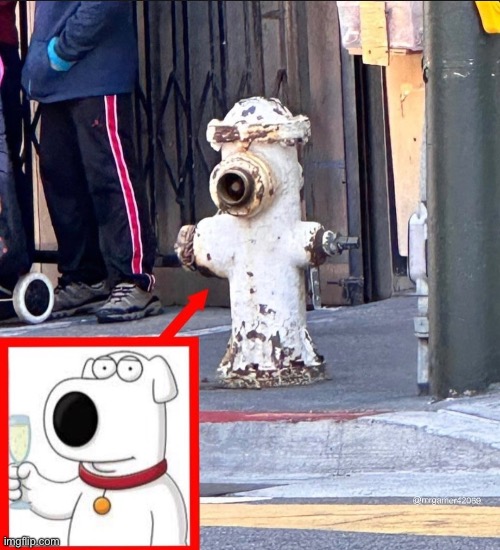 image tagged in family guy | made w/ Imgflip meme maker