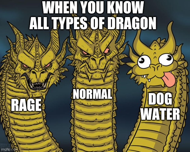 Three-headed Dragon | WHEN YOU KNOW ALL TYPES OF DRAGON; NORMAL; DOG WATER; RAGE | image tagged in three-headed dragon | made w/ Imgflip meme maker