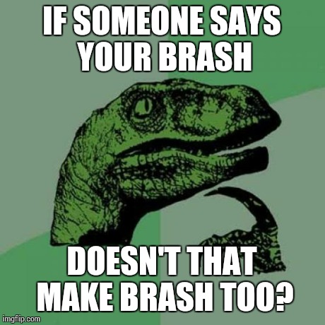 Philosoraptor Meme | IF SOMEONE SAYS YOUR BRASH DOESN'T THAT MAKE BRASH TOO? | image tagged in memes,philosoraptor | made w/ Imgflip meme maker