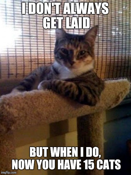 The Most Interesting Cat In The World | I DON'T ALWAYS GET LAID BUT WHEN I DO, NOW YOU HAVE 15 CATS | image tagged in memes,the most interesting cat in the world | made w/ Imgflip meme maker