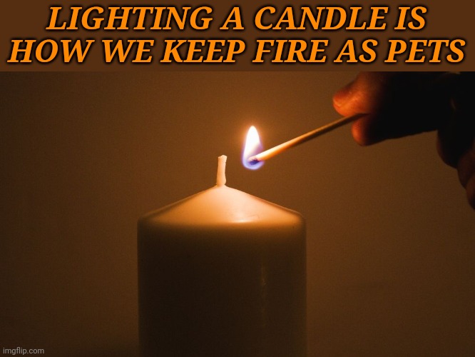 I LIKE WARM PETS | LIGHTING A CANDLE IS HOW WE KEEP FIRE AS PETS | image tagged in pets,fire,candle | made w/ Imgflip meme maker
