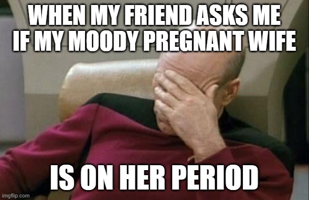 Thank God he didn't ask her that. | WHEN MY FRIEND ASKS ME IF MY MOODY PREGNANT WIFE; IS ON HER PERIOD | image tagged in memes,captain picard facepalm,pregnant,period,omfg,not a true story | made w/ Imgflip meme maker