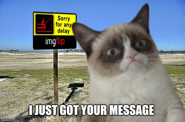 3-byte ~emoji~ characters that work in titles are in the comments.♈♉♊♋♌♍♎♏♐♑♒♓ | I JUST GOT YOUR MESSAGE | image tagged in grumpy cat imgflip | made w/ Imgflip meme maker