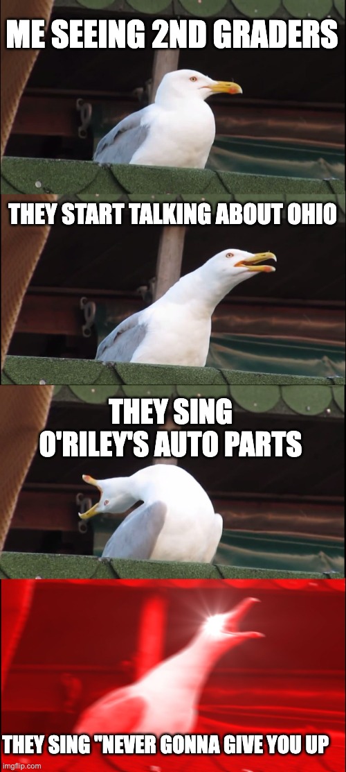 2nd graders | ME SEEING 2ND GRADERS; THEY START TALKING ABOUT OHIO; THEY SING O'RILEY'S AUTO PARTS; THEY SING "NEVER GONNA GIVE YOU UP | image tagged in memes,inhaling seagull | made w/ Imgflip meme maker