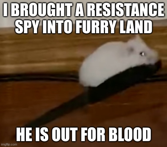 Another member has joined the fight | I BROUGHT A RESISTANCE SPY INTO FURRY LAND; HE IS OUT FOR BLOOD | image tagged in hampster knife,memes,anti furry | made w/ Imgflip meme maker