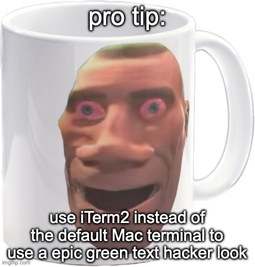 weed mug | pro tip:; use iTerm2 instead of the default Mac terminal to use a epic green text hacker look | image tagged in weed mug | made w/ Imgflip meme maker