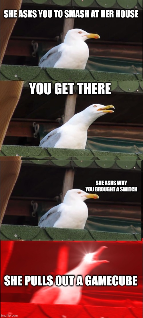 Inhaling Seagull | SHE ASKS YOU TO SMASH AT HER HOUSE; YOU GET THERE; SHE ASKS WHY YOU BROUGHT A SWITCH; SHE PULLS OUT A GAMECUBE | image tagged in memes,inhaling seagull | made w/ Imgflip meme maker