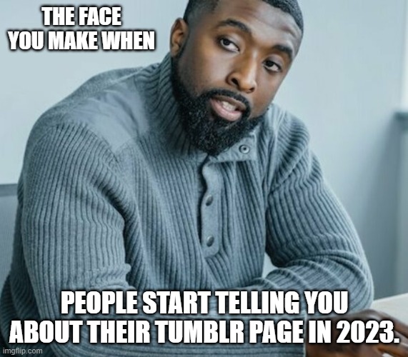 Words fail me. | THE FACE YOU MAKE WHEN; PEOPLE START TELLING YOU ABOUT THEIR TUMBLR PAGE IN 2023. | image tagged in tumblr 2023 | made w/ Imgflip meme maker
