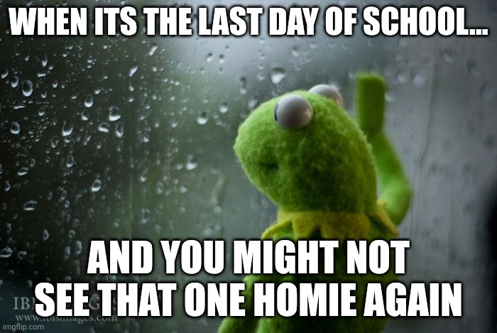 School sadness | WHEN ITS THE LAST DAY OF SCHOOL... AND YOU MIGHT NOT SEE THAT ONE HOMIE AGAIN | image tagged in kermit window | made w/ Imgflip meme maker