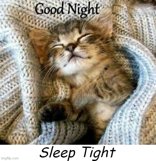 Sweet Kitty | Sleep Tight | image tagged in cats,sweet dreams,nighty night,zzzz | made w/ Imgflip meme maker