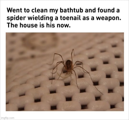 The house is his now | image tagged in toenail,spider | made w/ Imgflip meme maker