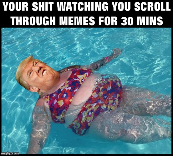trump | image tagged in trump,shit,maga morons,clown car republicans,toilet,memes | made w/ Imgflip meme maker