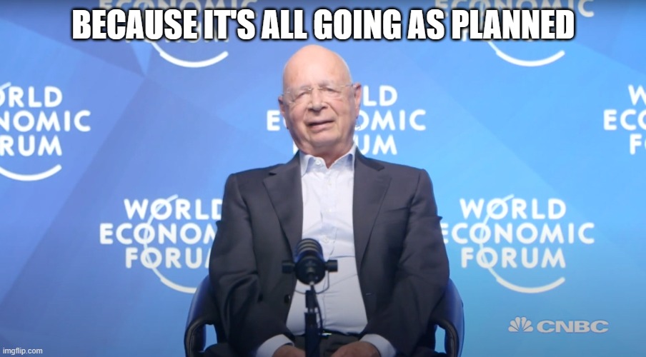Klaus Schwab | BECAUSE IT'S ALL GOING AS PLANNED | image tagged in klaus schwab | made w/ Imgflip meme maker