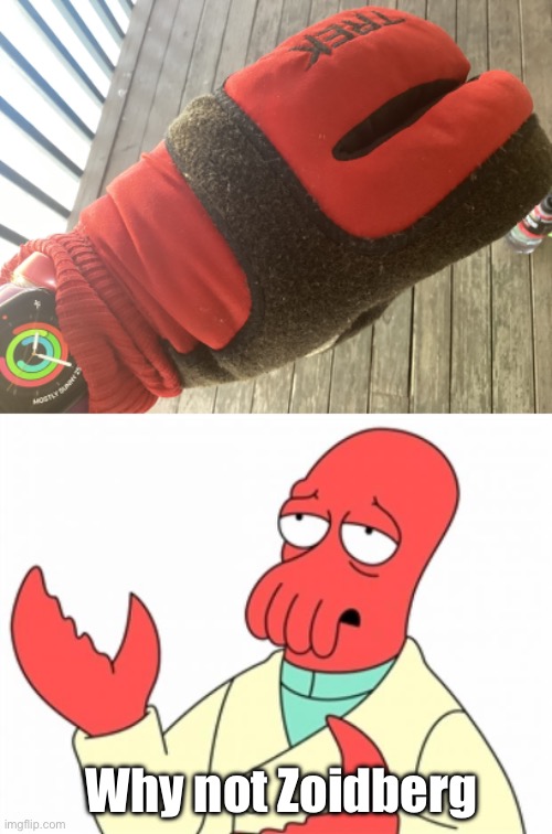 Lobster Gloves | Why not Zoidberg | image tagged in why not zoidberg,lobster,gloves | made w/ Imgflip meme maker