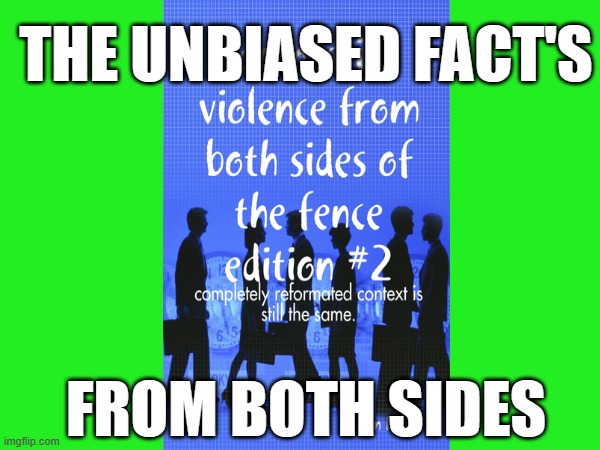 Domestic violence from both sides of the fence | THE UNBIASED FACT'S; FROM BOTH SIDES | image tagged in domestic abuse | made w/ Imgflip meme maker