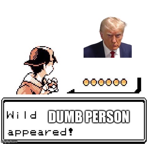 Blank Wild Pokemon Appears | DUMB PERSON | image tagged in blank wild pokemon appears | made w/ Imgflip meme maker