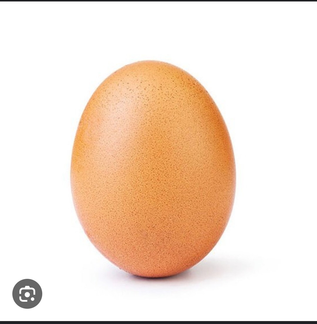 egg Blank Meme Template