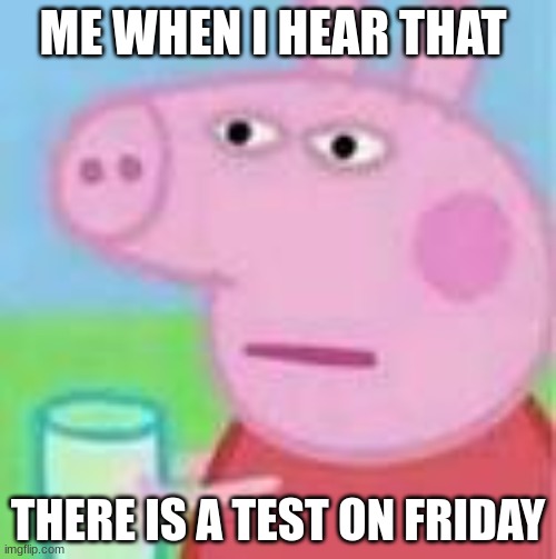 o boi | ME WHEN I HEAR THAT; THERE IS A TEST ON FRIDAY | image tagged in peppa pig will kill | made w/ Imgflip meme maker
