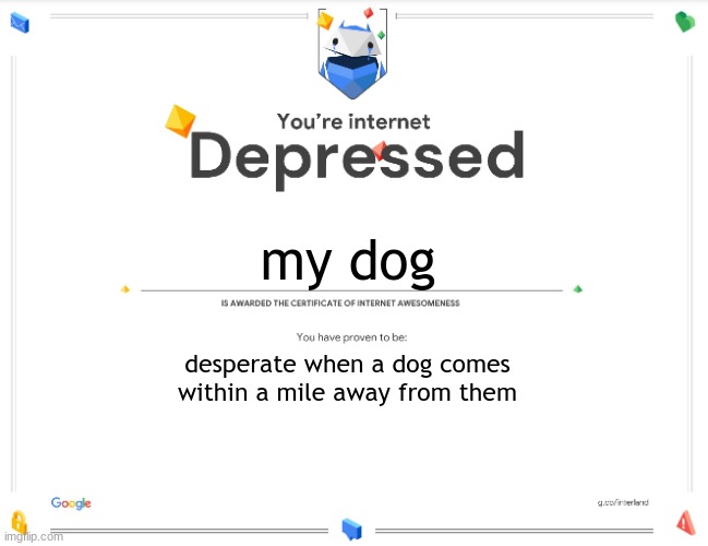 ouybsewdrwesrguyfburnfuiwrhfihfiuwrhriuwehriuhweiurhweiurhewihreiuh | my dog; desperate when a dog comes within a mile away from them | image tagged in you're internet depressed | made w/ Imgflip meme maker