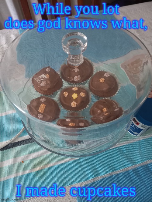 While you lot does god knows what, I made cupcakes | image tagged in frost | made w/ Imgflip meme maker