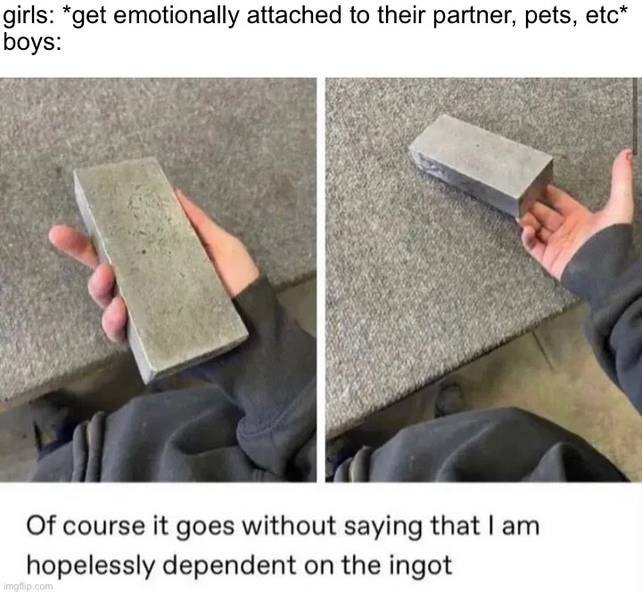 yes, it's another s**ist boys vs girls meme, cry about it (y'all need to understand that they're jokes) | girls: *get emotionally attached to their partner, pets, etc*
boys: | image tagged in memes,girls vs boys,ingot,iron ingot,me irl | made w/ Imgflip meme maker