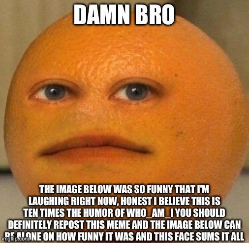 Annoying Orange | DAMN BRO; THE IMAGE BELOW WAS SO FUNNY THAT I'M LAUGHING RIGHT NOW, HONEST I BELIEVE THIS IS TEN TIMES THE HUMOR OF WHO_AM_I YOU SHOULD DEFINITELY REPOST THIS MEME AND THE IMAGE BELOW CAN BE ALONE ON HOW FUNNY IT WAS AND THIS FACE SUMS IT ALL | image tagged in annoying orange,sarcastic,not funny,cool,memes,go away | made w/ Imgflip meme maker