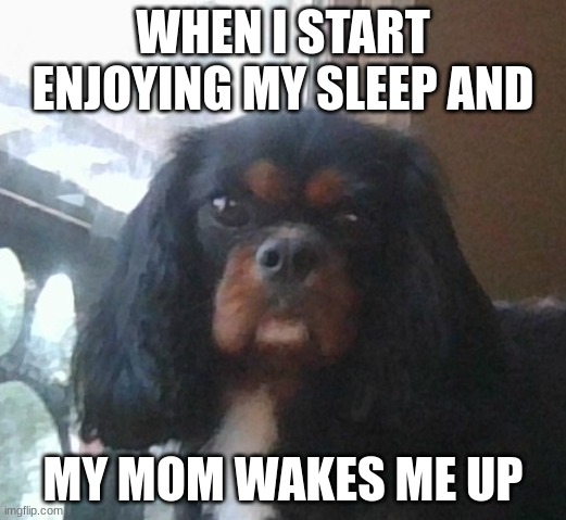 :O | WHEN I START ENJOYING MY SLEEP AND; MY MOM WAKES ME UP | image tagged in mad charlie o | made w/ Imgflip meme maker