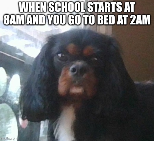 ai | WHEN SCHOOL STARTS AT 8AM AND YOU GO TO BED AT 2AM | image tagged in mad charlie | made w/ Imgflip meme maker