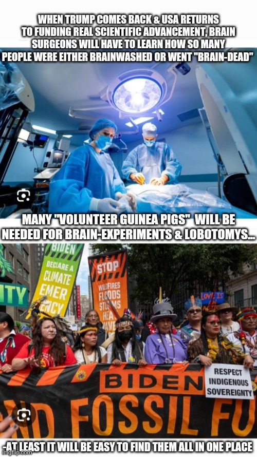 BRAIN-DEAD LIBS | WHEN TRUMP COMES BACK & USA RETURNS TO FUNDING REAL SCIENTIFIC ADVANCEMENT, BRAIN SURGEONS WILL HAVE TO LEARN HOW SO MANY PEOPLE WERE EITHER BRAINWASHED OR WENT "BRAIN-DEAD"; MANY "VOLUNTEER GUINEA PIGS"  WILL BE NEEDED FOR BRAIN-EXPERIMENTS & LOBOTOMYS... -AT LEAST IT WILL BE EASY TO FIND THEM ALL IN ONE PLACE | image tagged in stop,climate change,hoax,libtards,finished,secure the border | made w/ Imgflip meme maker