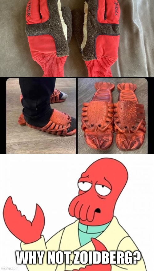 Zoidberg outfit | WHY NOT ZOIDBERG? | image tagged in why not zoidberg,lobster,gloves,shoes | made w/ Imgflip meme maker
