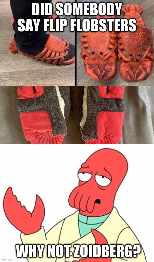 DID SOMEBODY SAY FLIP FLOBSTERS; WHY NOT ZOIDBERG? | image tagged in why not zoidberg | made w/ Imgflip meme maker