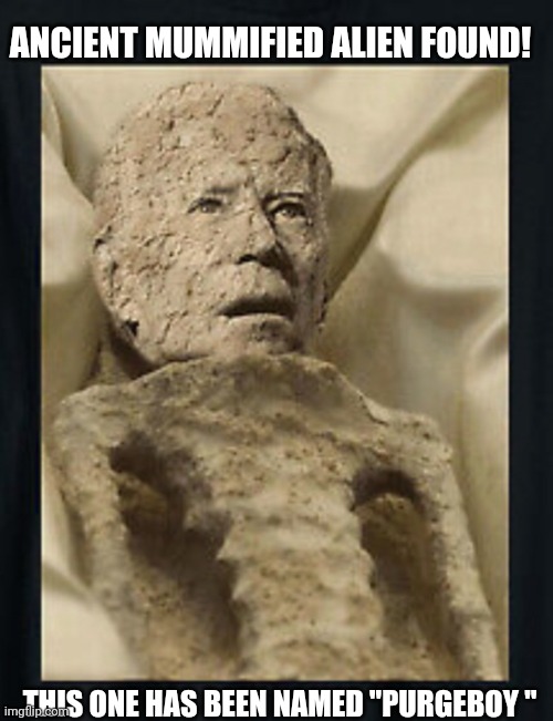 Breaking Science News: Purgeboy Found | ANCIENT MUMMIFIED ALIEN FOUND! THIS ONE HAS BEEN NAMED "PURGEBOY " | image tagged in sleepy,creepy joe biden,impeachment,now | made w/ Imgflip meme maker