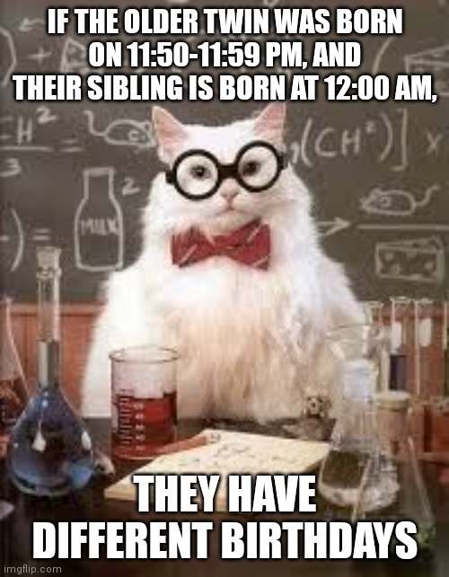 SMART CAT | IF THE OLDER TWIN WAS BORN ON 11:50-11:59 PM, AND THEIR SIBLING IS BORN AT 12:00 AM, THEY HAVE DIFFERENT BIRTHDAYS | image tagged in smart cat | made w/ Imgflip meme maker