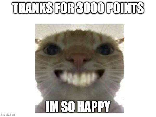 TYSM EVERYONE | THANKS FOR 3000 POINTS; IM SO HAPPY | image tagged in thanks | made w/ Imgflip meme maker