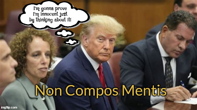 Non Compos Metis | Non Compos Mentis | image tagged in trump,i did nothing wrong,non compos mentis,just by thinking about it,maga | made w/ Imgflip meme maker