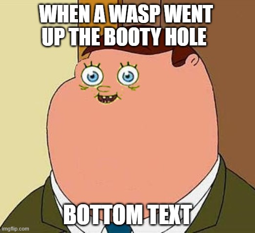 . | WHEN A WASP WENT UP THE BOOTY HOLE; BOTTOM TEXT | image tagged in small face peter griffen,peter griffin | made w/ Imgflip meme maker