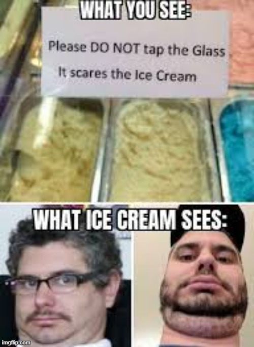 do not touch the glass it scares icecream | image tagged in icecream | made w/ Imgflip meme maker
