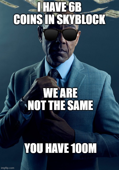 Skyblock | I HAVE 6B COINS IN SKYBLOCK; WE ARE NOT THE SAME; YOU HAVE 100M | image tagged in gus fring we are not the same | made w/ Imgflip meme maker