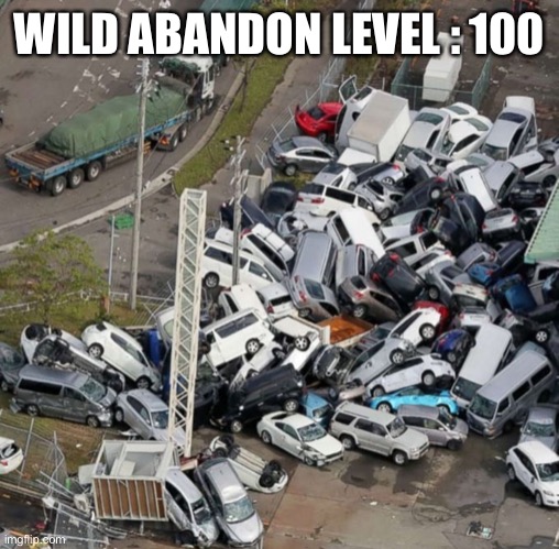 Pile up | WILD ABANDON LEVEL : 100 | image tagged in pile up | made w/ Imgflip meme maker