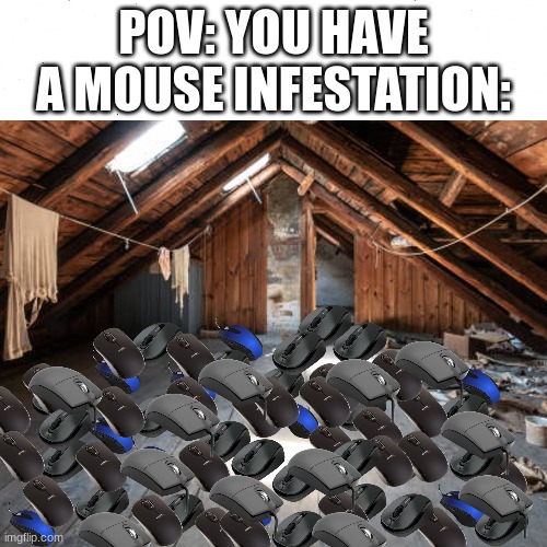 When you go into your attic and notice you got a lot of mouses | POV: YOU HAVE A MOUSE INFESTATION: | image tagged in attic,mouse,mouse infestation,pov,only gamers will understand,relatable | made w/ Imgflip meme maker