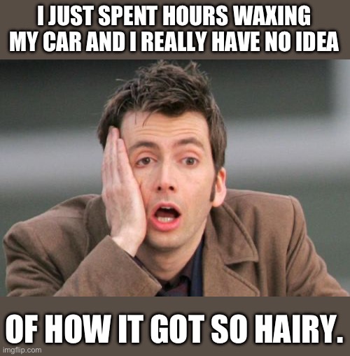 Wax on, wax off | I JUST SPENT HOURS WAXING MY CAR AND I REALLY HAVE NO IDEA; OF HOW IT GOT SO HAIRY. | image tagged in face palm | made w/ Imgflip meme maker