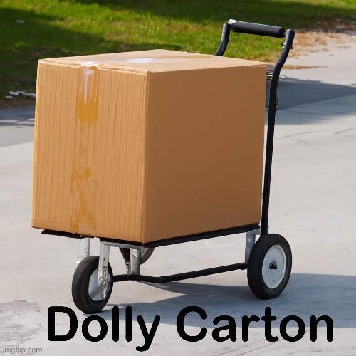 Dolly | image tagged in bad pun | made w/ Imgflip meme maker