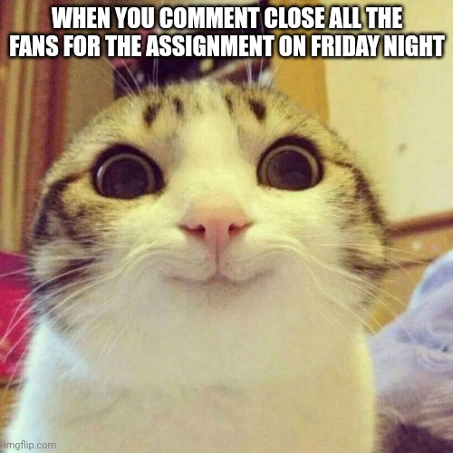 Smiling Cat | WHEN YOU COMMENT CLOSE ALL THE FANS FOR THE ASSIGNMENT ON FRIDAY NIGHT | image tagged in memes,smiling cat | made w/ Imgflip meme maker