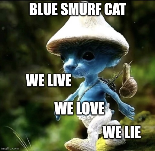 We live, we love, we lie | BLUE SMURF CAT; WE LIVE; WE LOVE; WE LIE | image tagged in blue smurf cat,goated | made w/ Imgflip meme maker