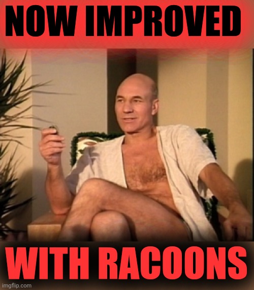 Sexual picard | NOW IMPROVED WITH RACOONS | image tagged in sexual picard | made w/ Imgflip meme maker