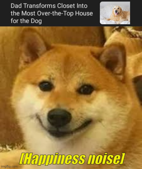 A transformation from closet to a house | image tagged in shibe,memes,dogs,dog,closet,house | made w/ Imgflip meme maker