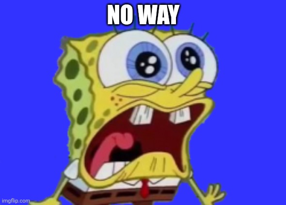 NO WAY | image tagged in spongebob | made w/ Imgflip meme maker