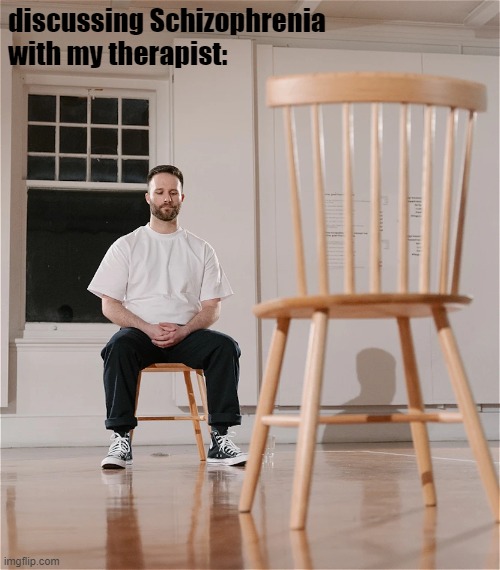 therapy | discussing Schizophrenia with my therapist: | image tagged in man sitting alone | made w/ Imgflip meme maker