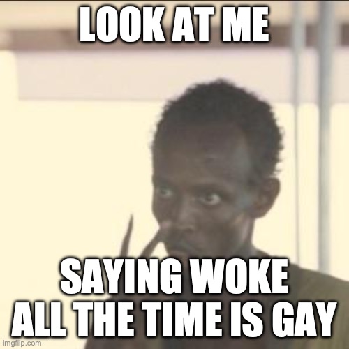 woke | LOOK AT ME; SAYING WOKE ALL THE TIME IS GAY | image tagged in memes,look at me,woke | made w/ Imgflip meme maker