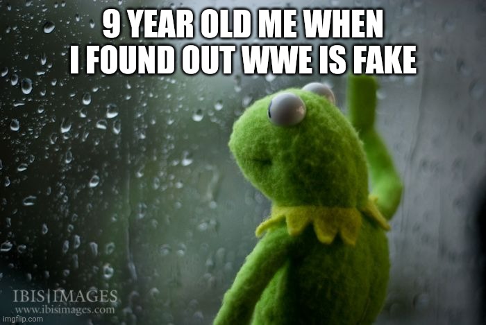 kermit window | 9 YEAR OLD ME WHEN I FOUND OUT WWE IS FAKE | image tagged in kermit window | made w/ Imgflip meme maker